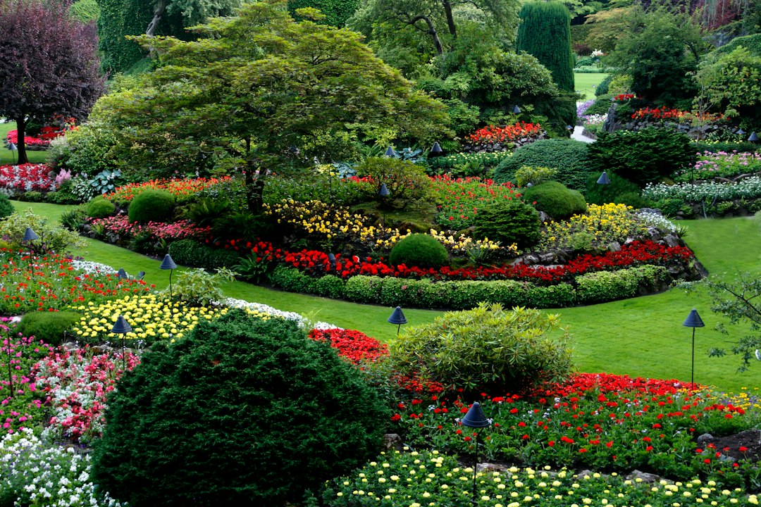 Jardin aménagé illustrant une activité paysagère