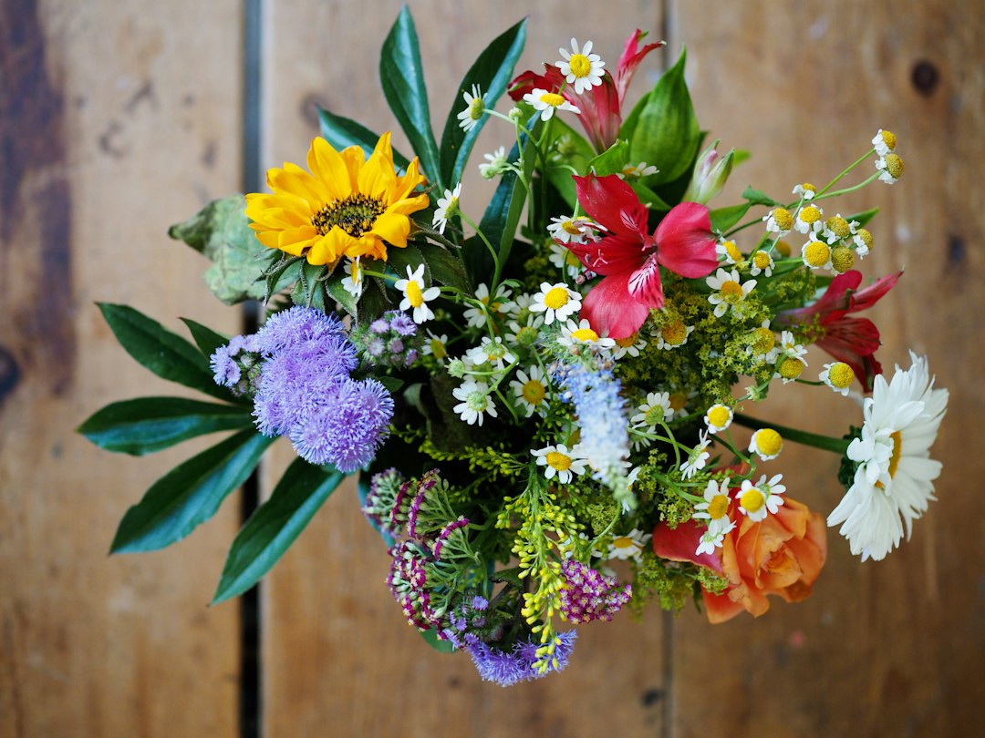 Bouquet de fleurs coupées